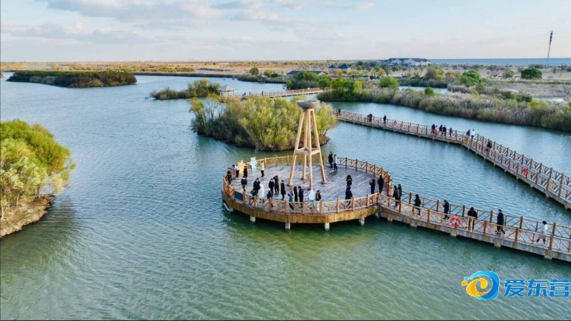 的巨大推动 的巨大推动