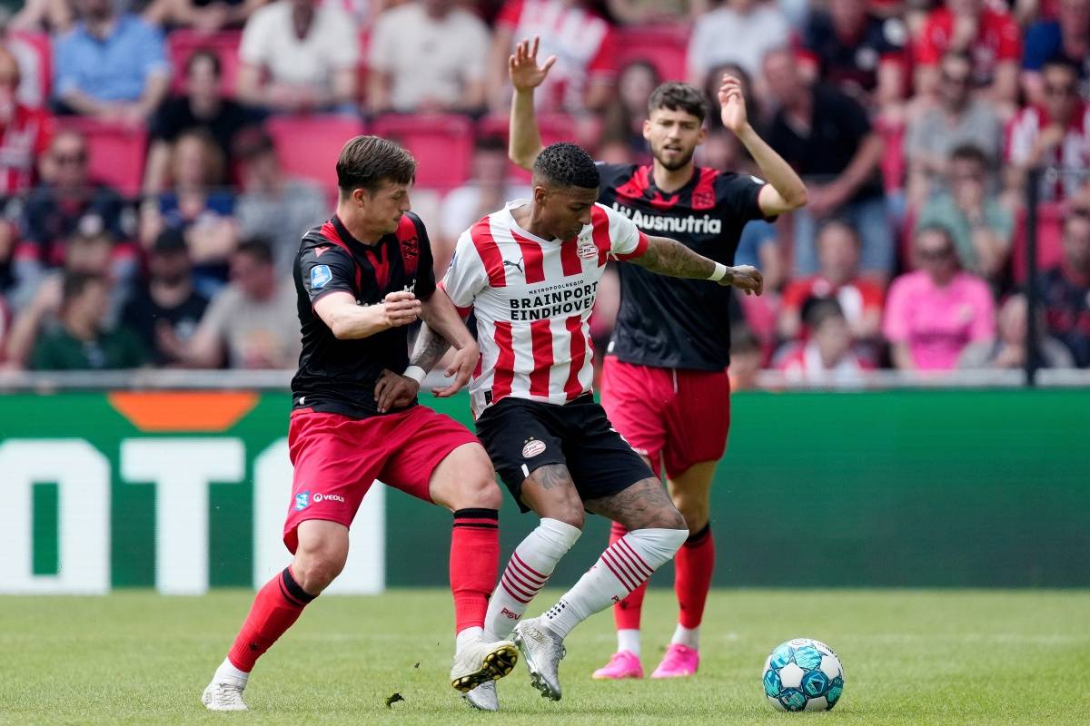 的双重优势 的双重优势