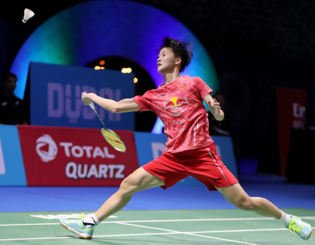 球迷和教练 球迷和教练