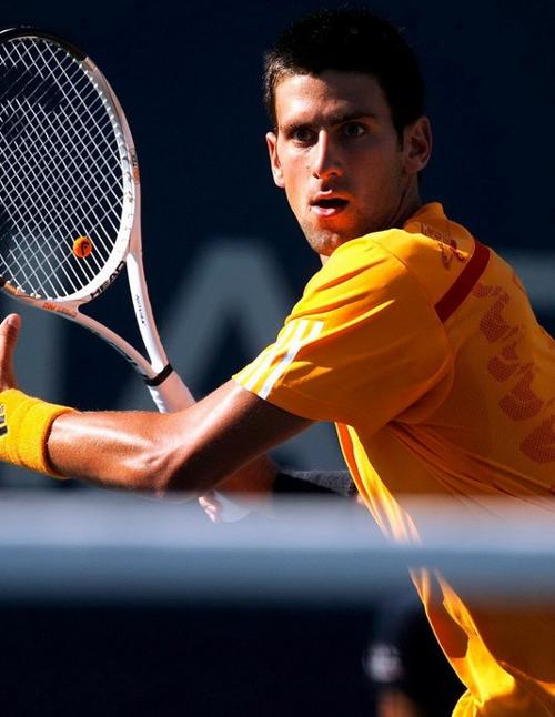 他城市的体 他城市的体